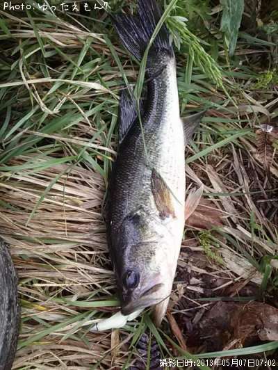 �顼���ޥ���