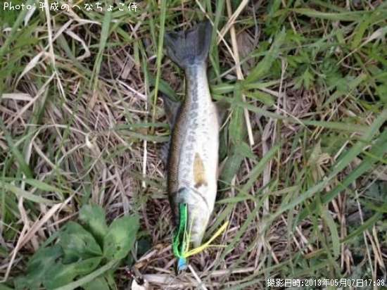 �֥�å��Х�