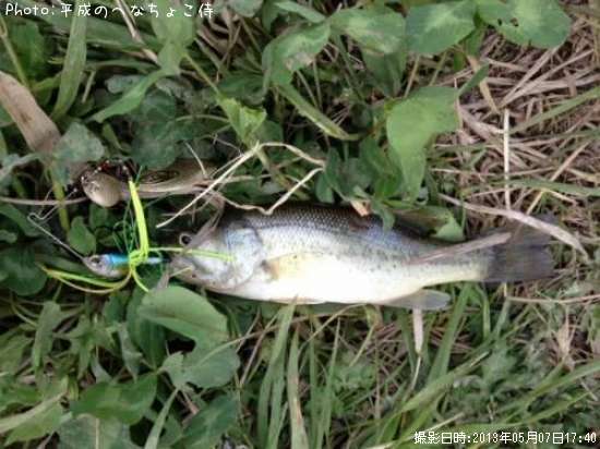 �֥�å��Х�