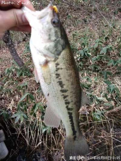 �֥�å��Х�