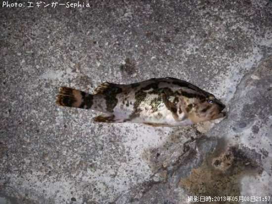 �����Υ���Х�