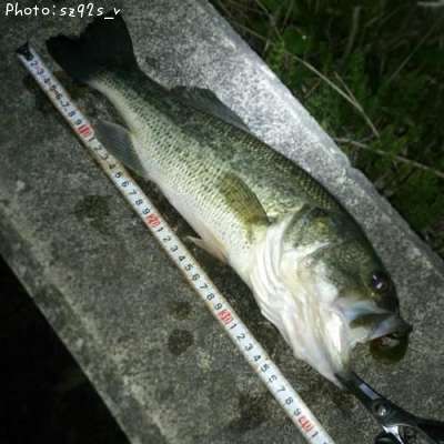 �֥�å��Х�