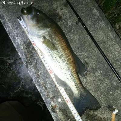 �֥�å��Х�