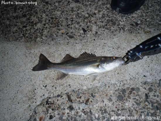 �����Х�