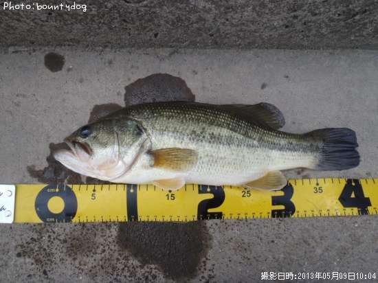 �֥�å��Х�