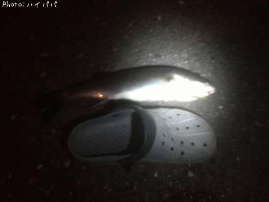 �����Х�