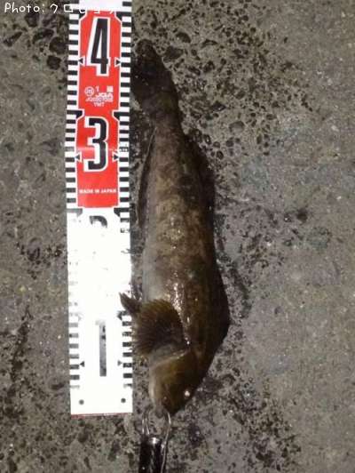 �����ʥ�