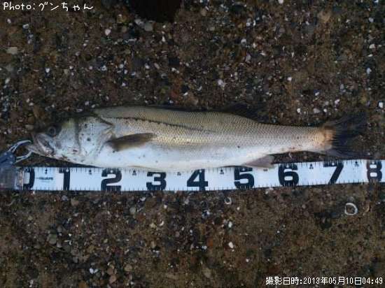 �����Х�