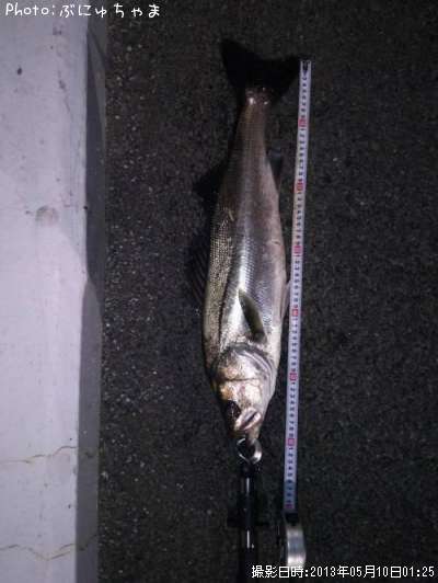 �����Х�