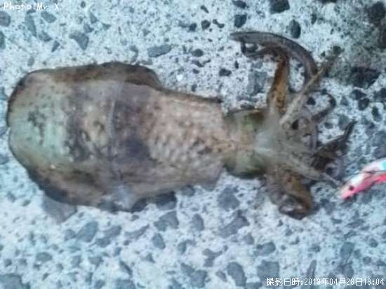 �����ꥤ��