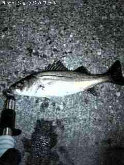 �����Х�