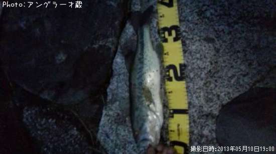 �֥�å��Х�