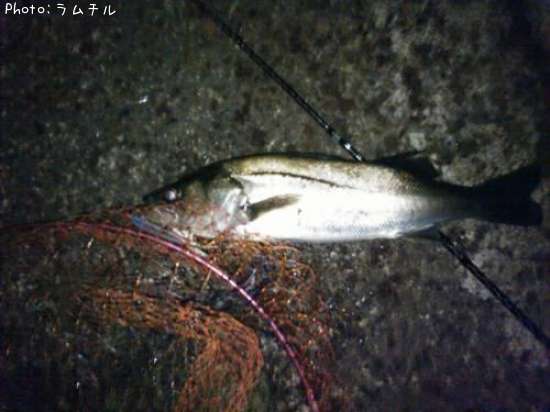 �����Х�