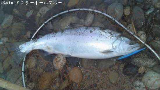 ������ޥ�