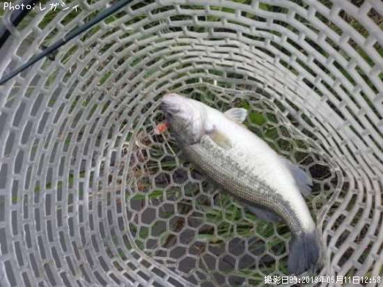 �֥�å��Х�