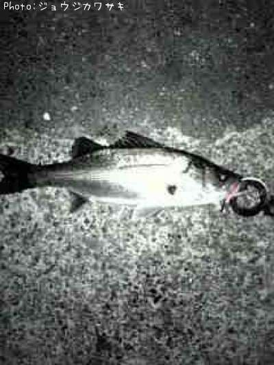 �����Х�