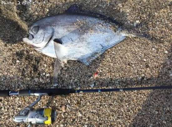 ���ޥ��ĥ���