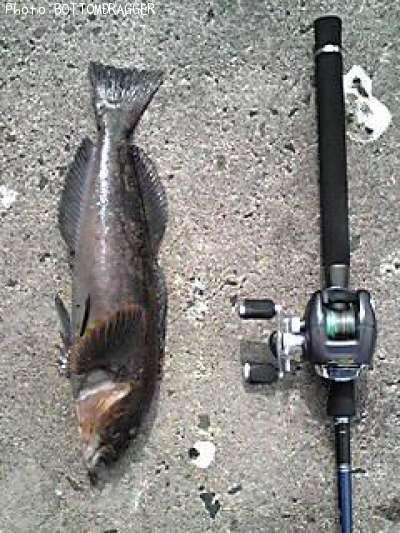 �����ʥ�