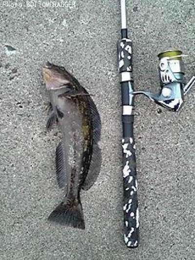 �����ʥ�