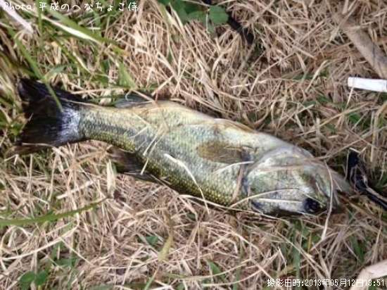 �֥�å��Х�