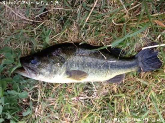 �֥�å��Х�