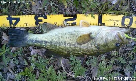 �֥�å��Х�