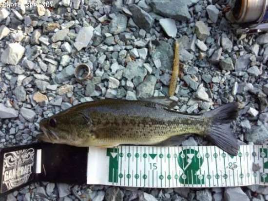 �֥�å��Х�