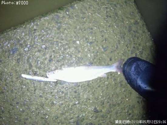 �ޥ�ƥ����ˣʣ�