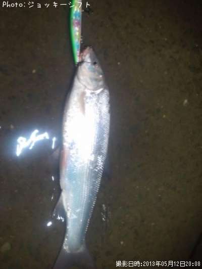 �ޥ�ƥ����ˣʣ�