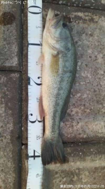 �֥�å��Х�