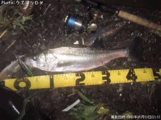 �����Х�