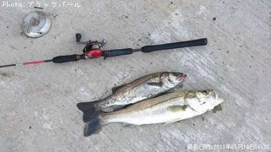 �����Х�