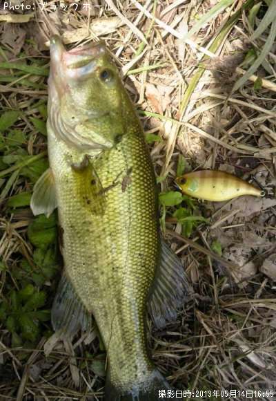 �֥�å��Х�