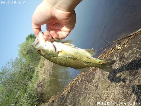 �顼���ޥ����Х�