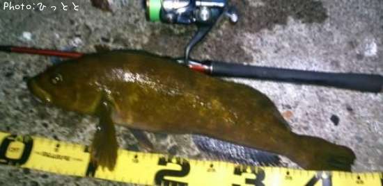 �����ʥ�