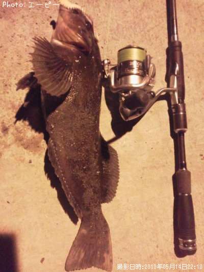 �����ʥ�