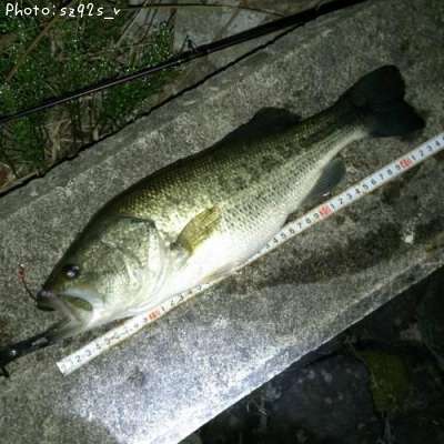 �֥�å��Х�