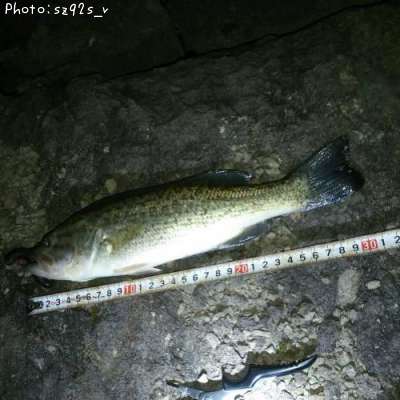 �֥�å��Х�