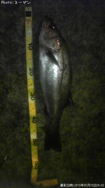 �����Х�