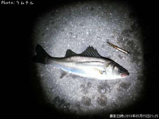 �����Х�