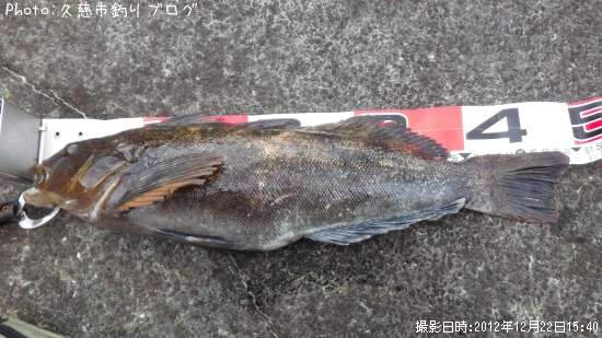 �����ʥ�