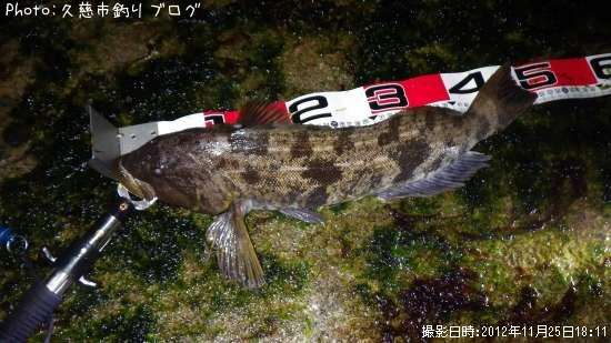 �����ʥ�