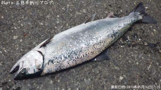 ������ޥ�