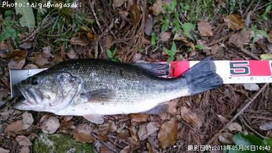 �֥�å��Х�