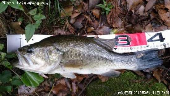 ���֥�å��Х�