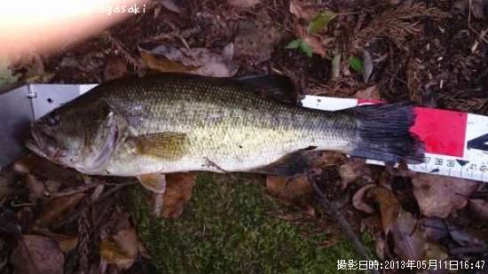 ���֥�å��Х�