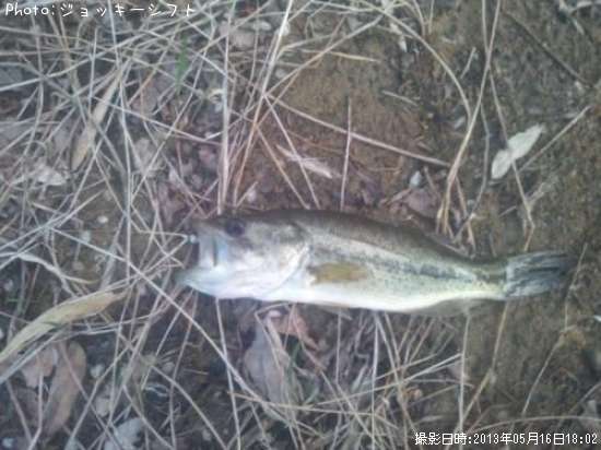 �֥�å��Х�