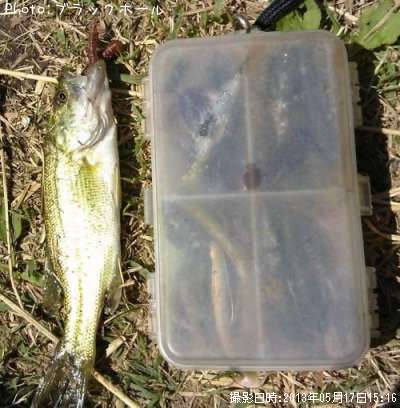 �֥�å��Х�