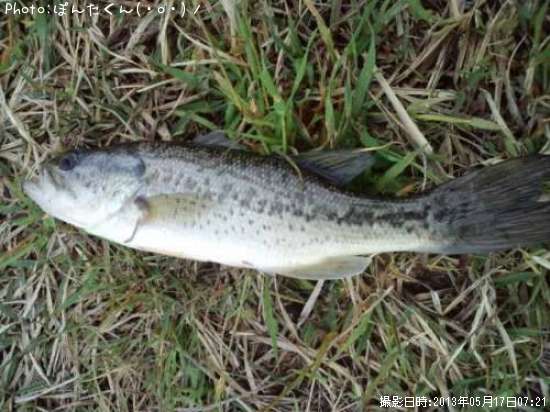 �֥�å��Х�