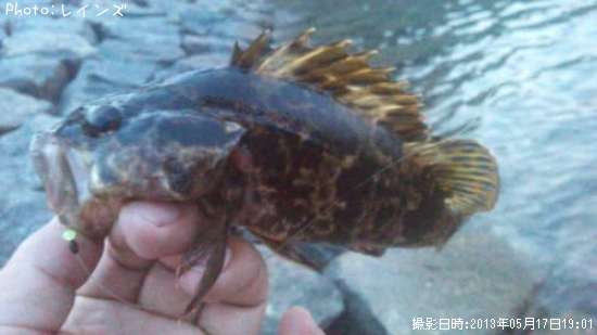 �����Υ���Х�